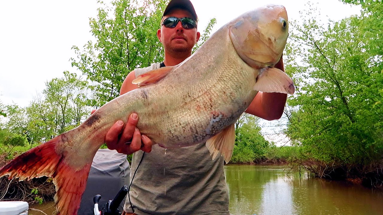 GIANT Bighead Carp on ROD & REEL {Catch Clean Cook} #spillway