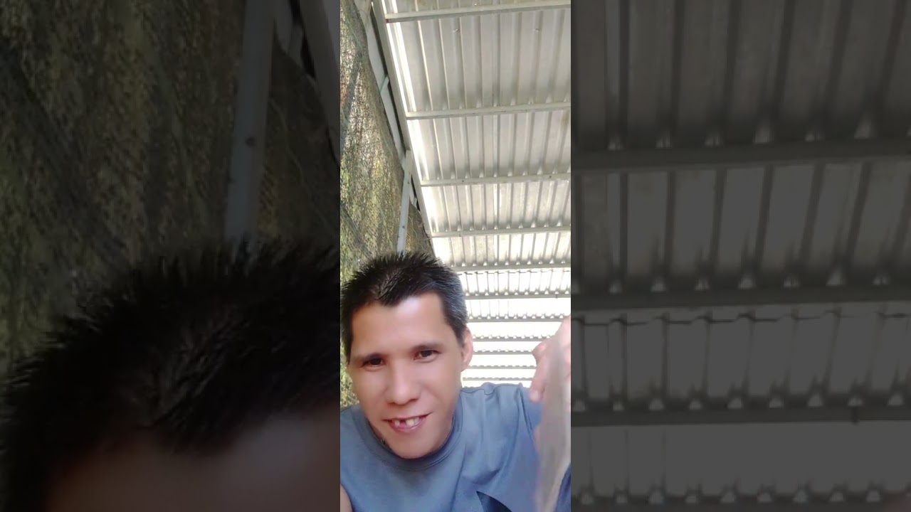 Ăn cơm canh chua cá ba sa cá ba sa kho món ăn channel miền Tây