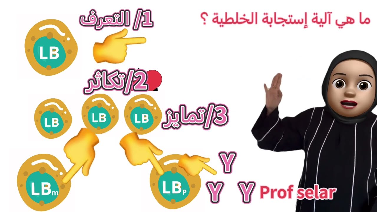 إستجابة خلطية خط دفاعي الثالث/ bem2025