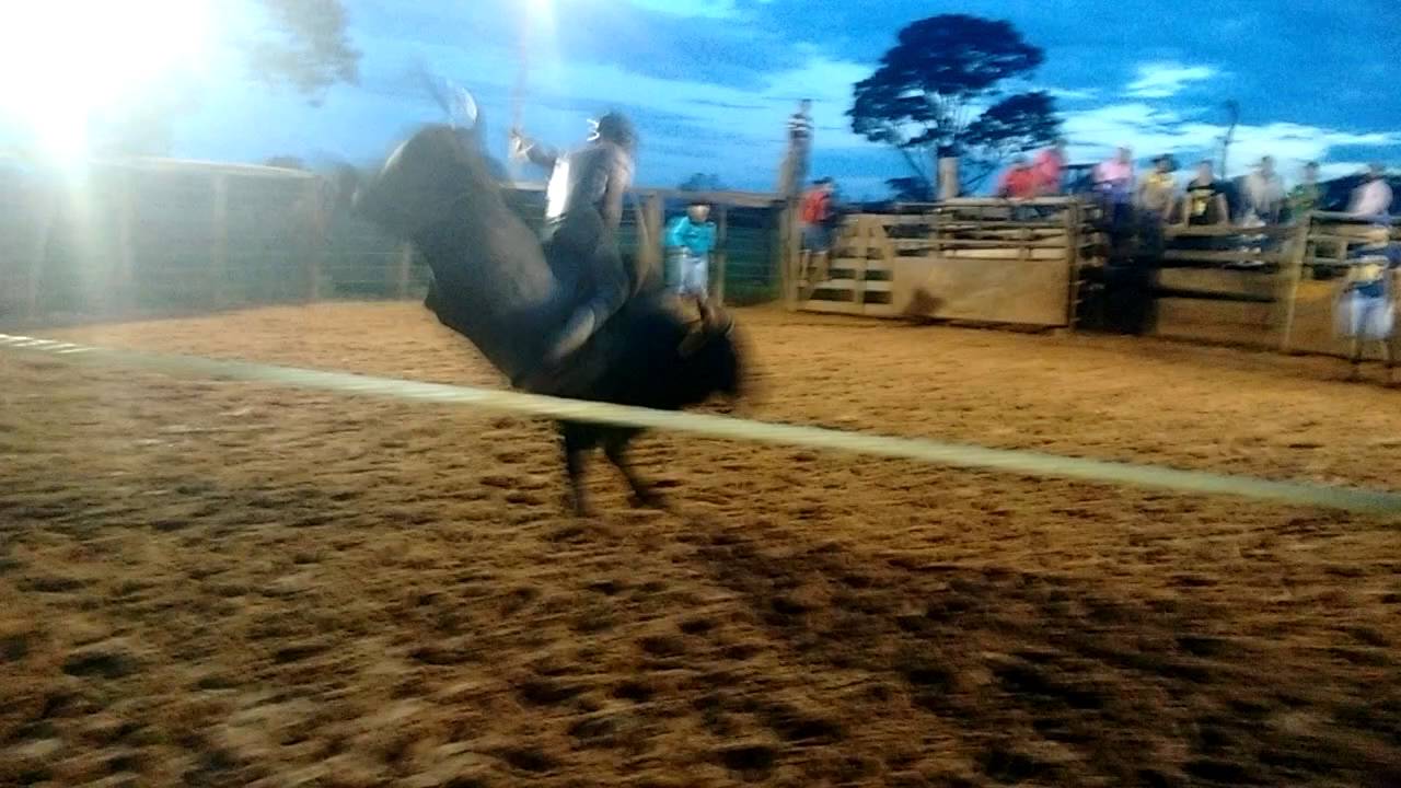 Weberson wekert x Aloprado