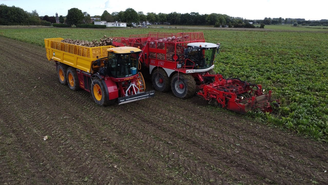 Sugarbeet Harvesting | bieten rooien | 2022 | Zuckerr&uuml;benerte | Vervaet 625 | vredo VT 5518-3