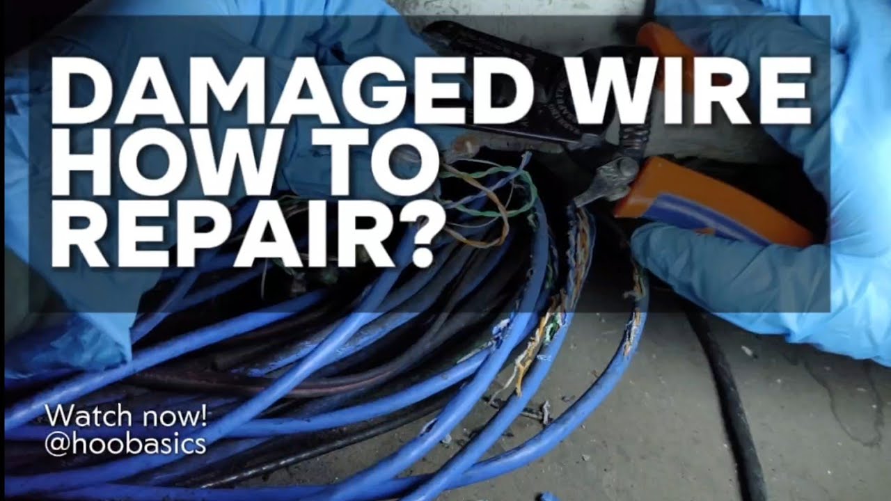 How to repair Damaged network Cables #hoobasics #damagednetworkcable