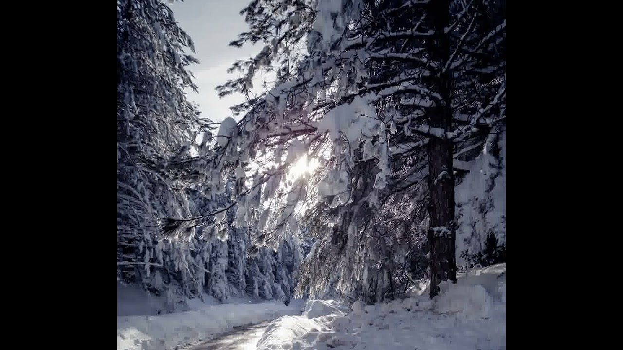 L'inverno dentro