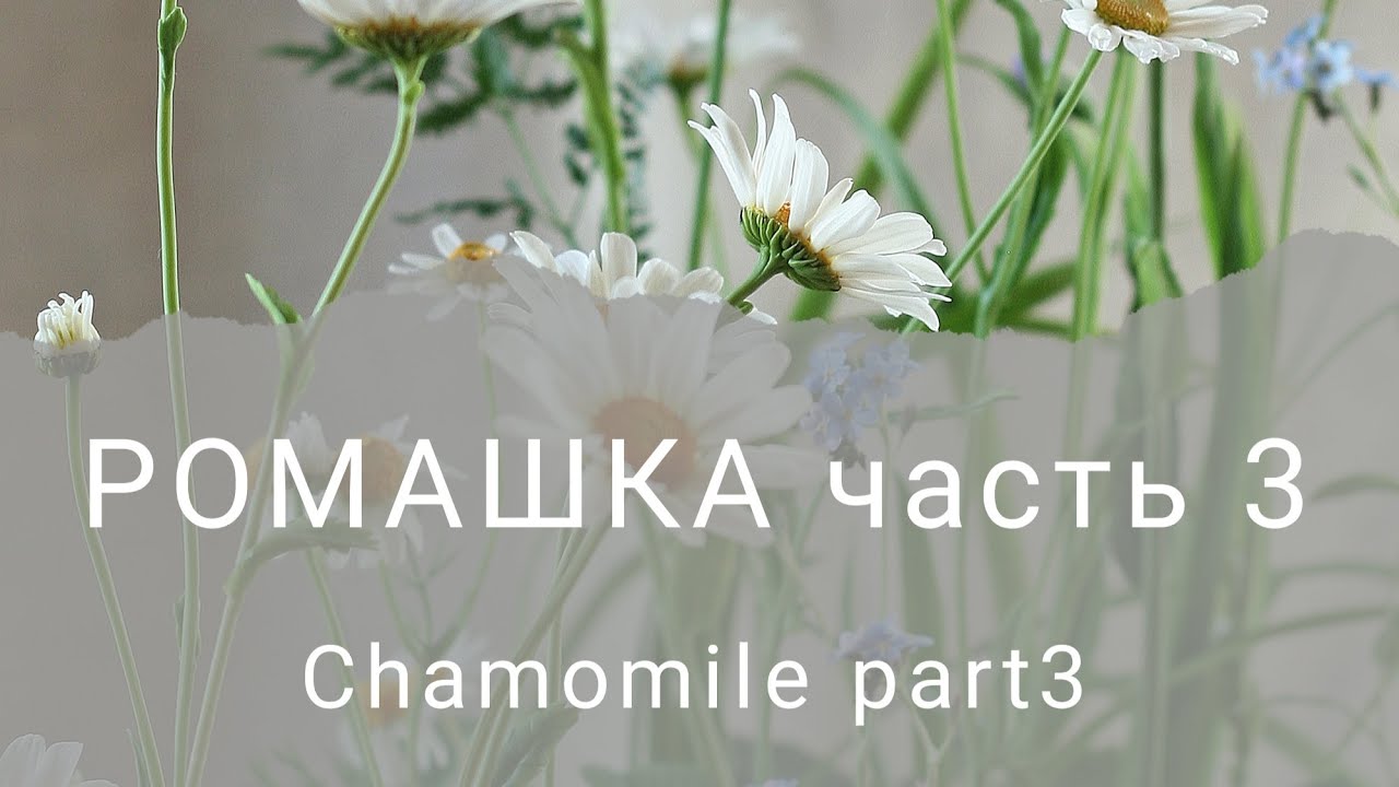 Часть 3.  Лепим и окрашиваем листья. (Part 3. We mold and color the leaves.)