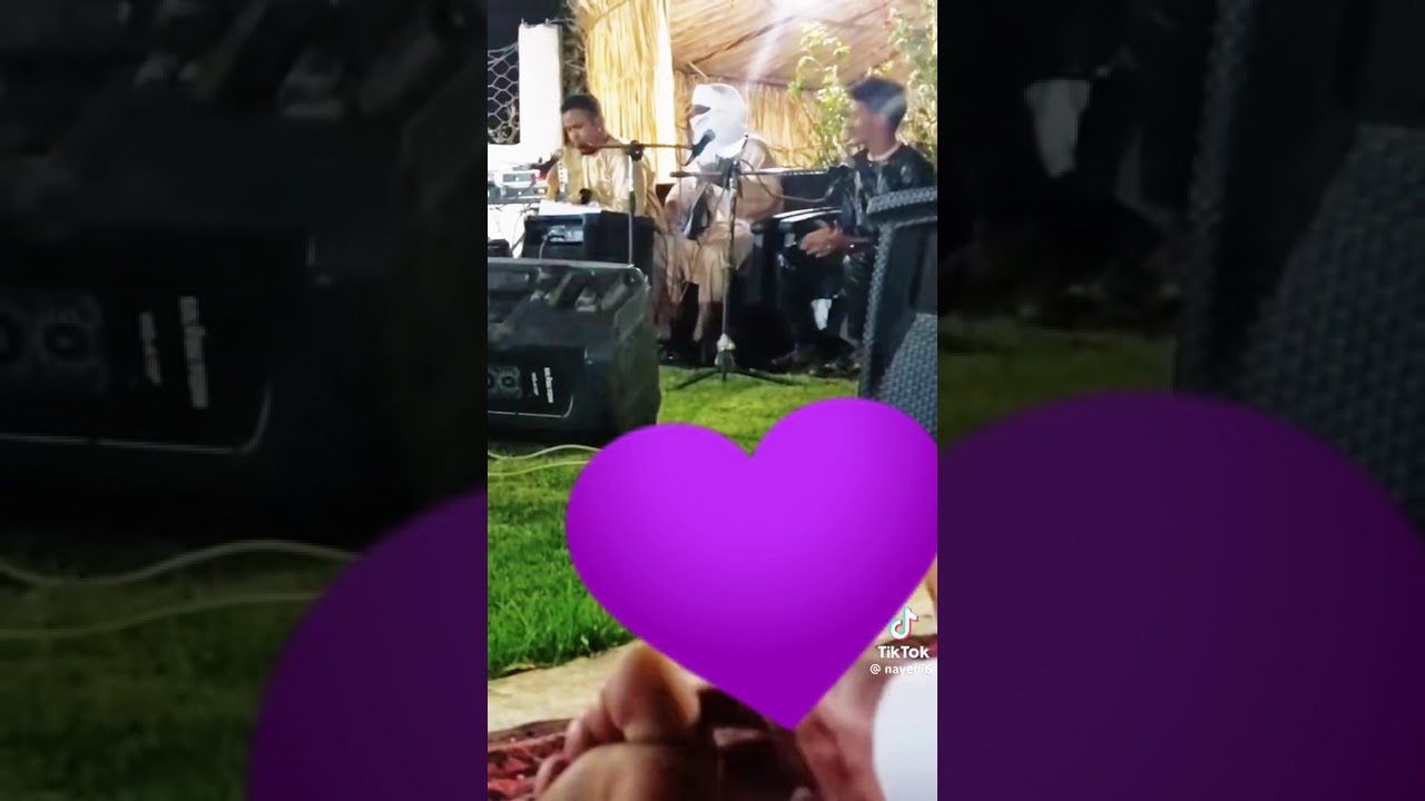 المهيدي شياخ