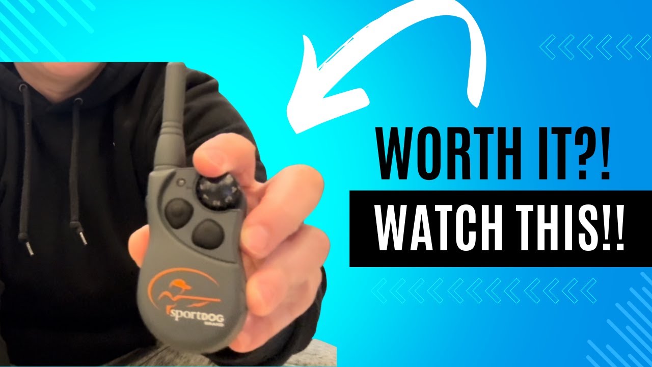 Review of SportDOG Brand FieldTrainer 425X Dog Training Collar