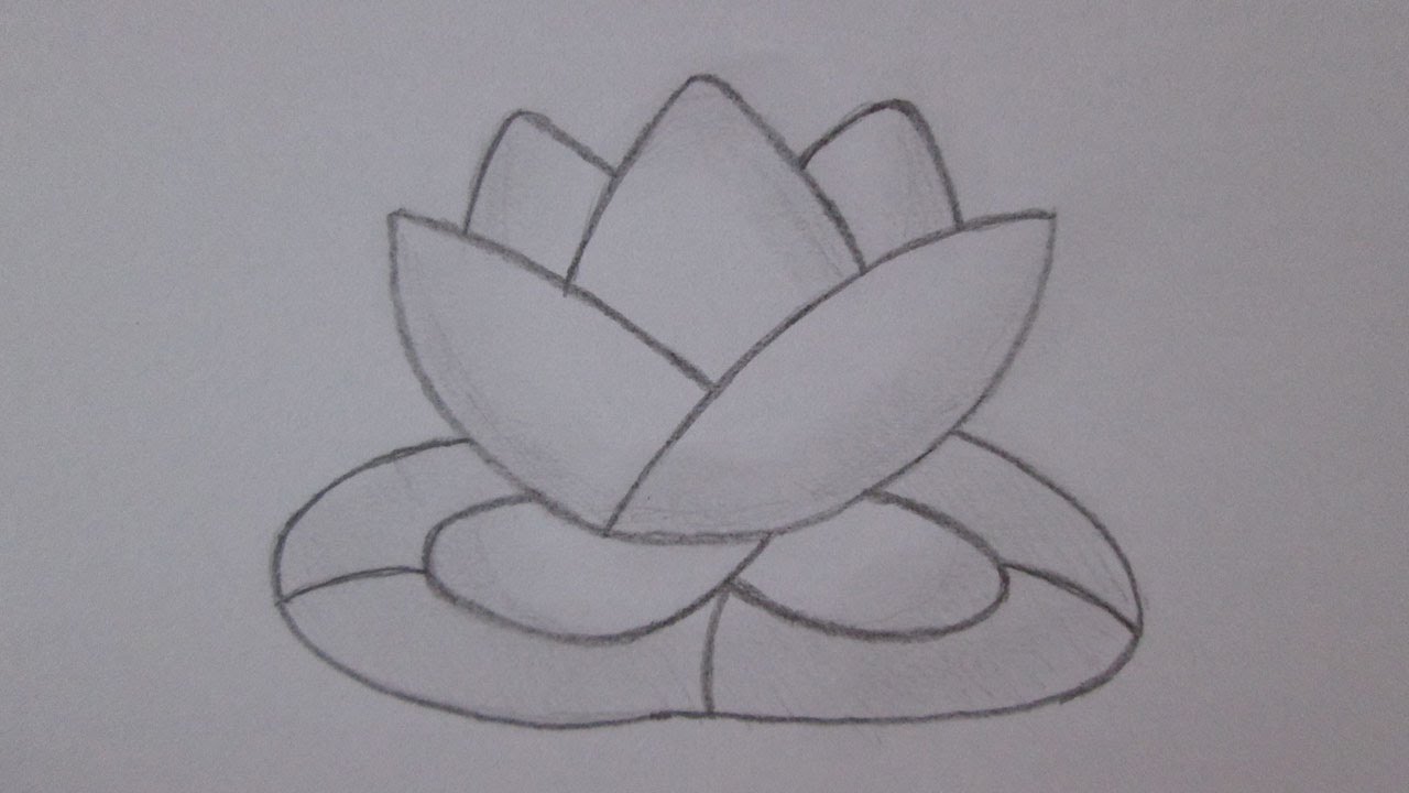 Como desenhar uma flor de lótus