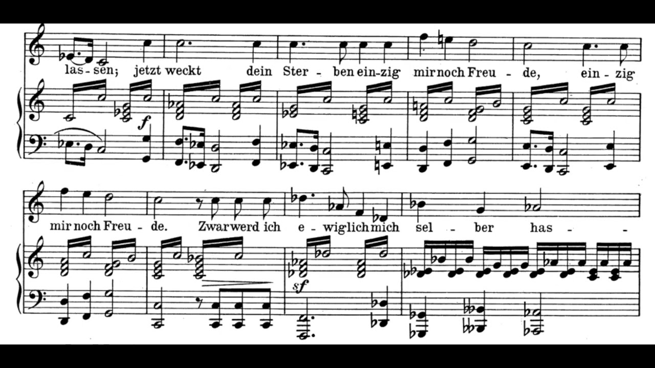 Der Zwerg  (F. Schubert) Score Animation