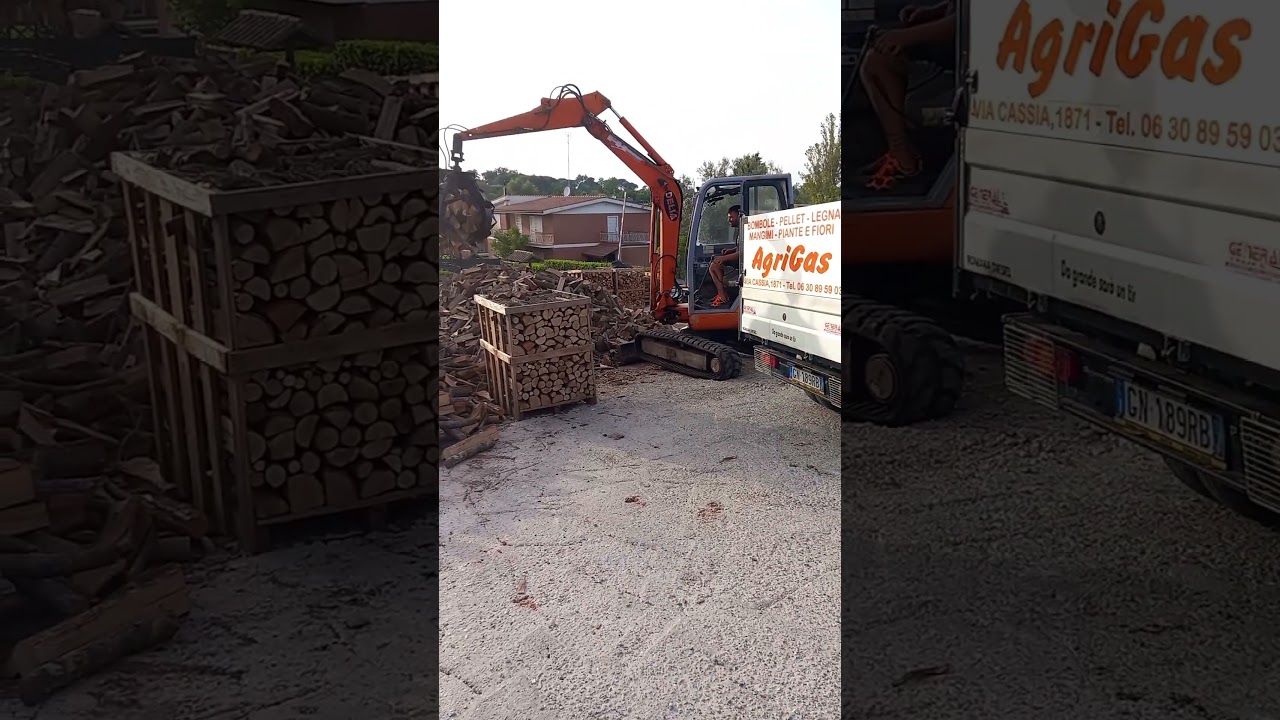 #virale #lavoro #legna #legname