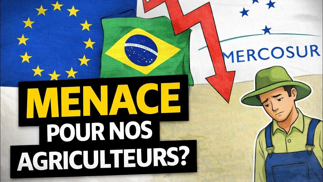 Pourquoi l'accord Mercosur inquiète autant les agriculteurs Français?