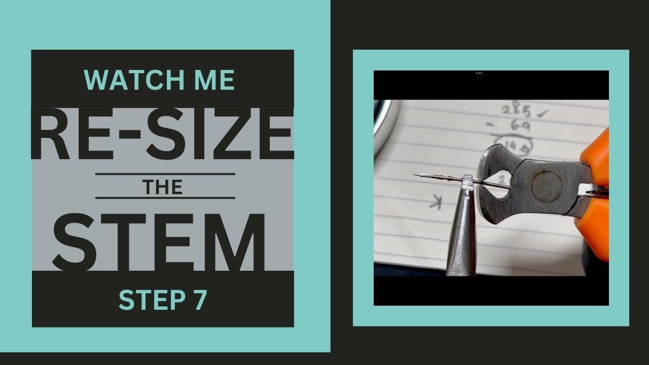 Step 7 - Watch Me Resize my Stem