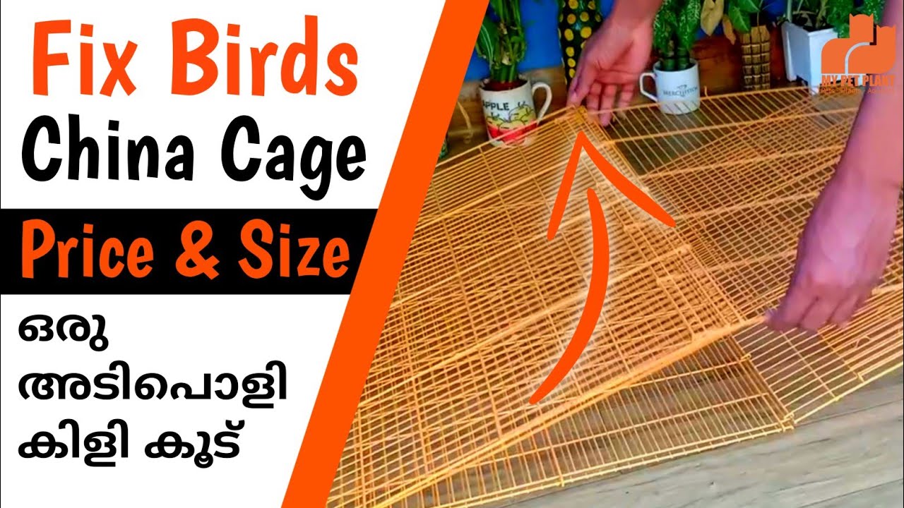 How to Fix China Cage for Birds Malayalam | Birds Breeding China Cage Price & Size | MY PET PLANT