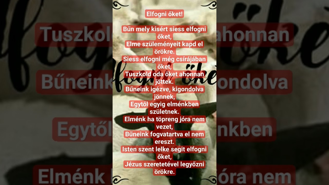 Elfogni őket❗