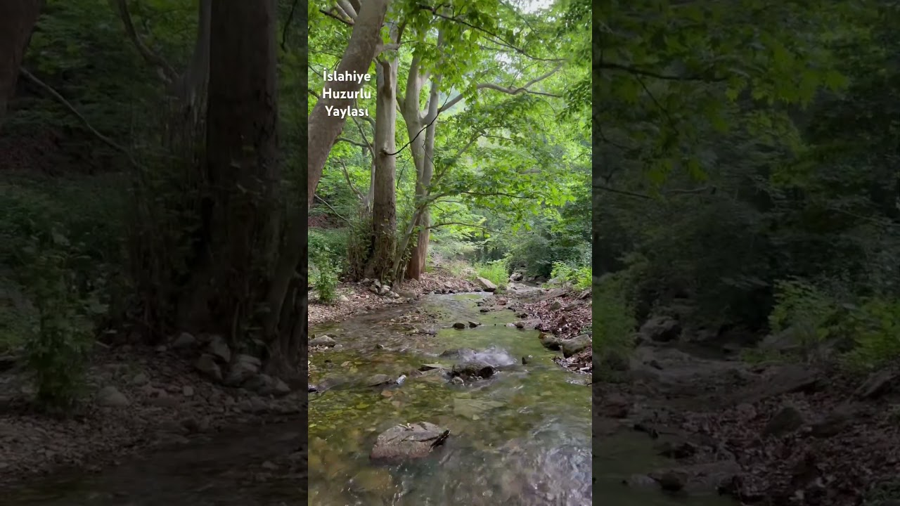 Gaziantep İslahiye Huzurlu Yaylası #gaziantep #islahiye #drone #keşfet #gezilecekyerler