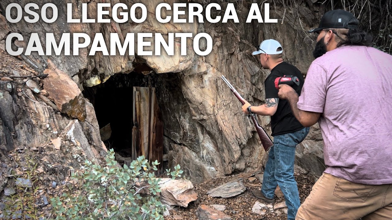 Un Oso Nos Llega Cerca Al Campamento!! ⚠️