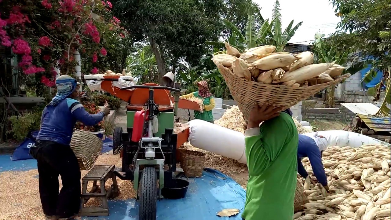 MESIN SLEP JAGUNG IND