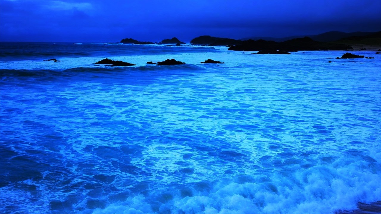 Relaxing Sea Waves at Sunset | Calm Ocean Sounds for Study, Sleep & Focus🌊relaxing ocean waves