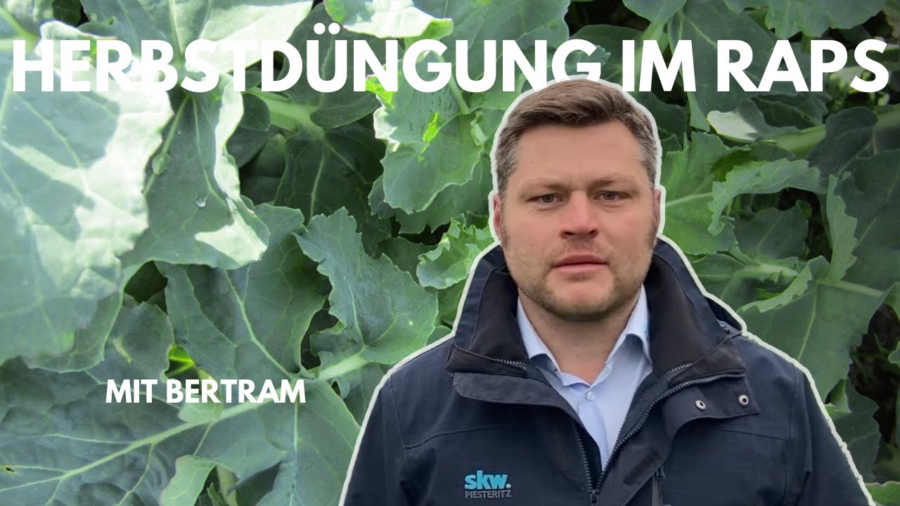 Von Experten für Profis –  Vorteile und Nachteile Herbstdüngung Raps mit Stickstoff