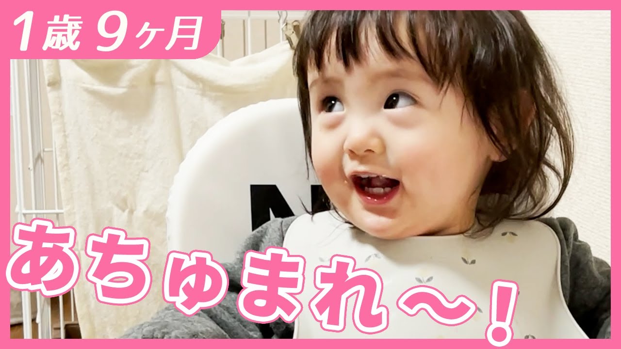 #1歳9ヶ月　「あつまれ～！」をしてほしい年頃