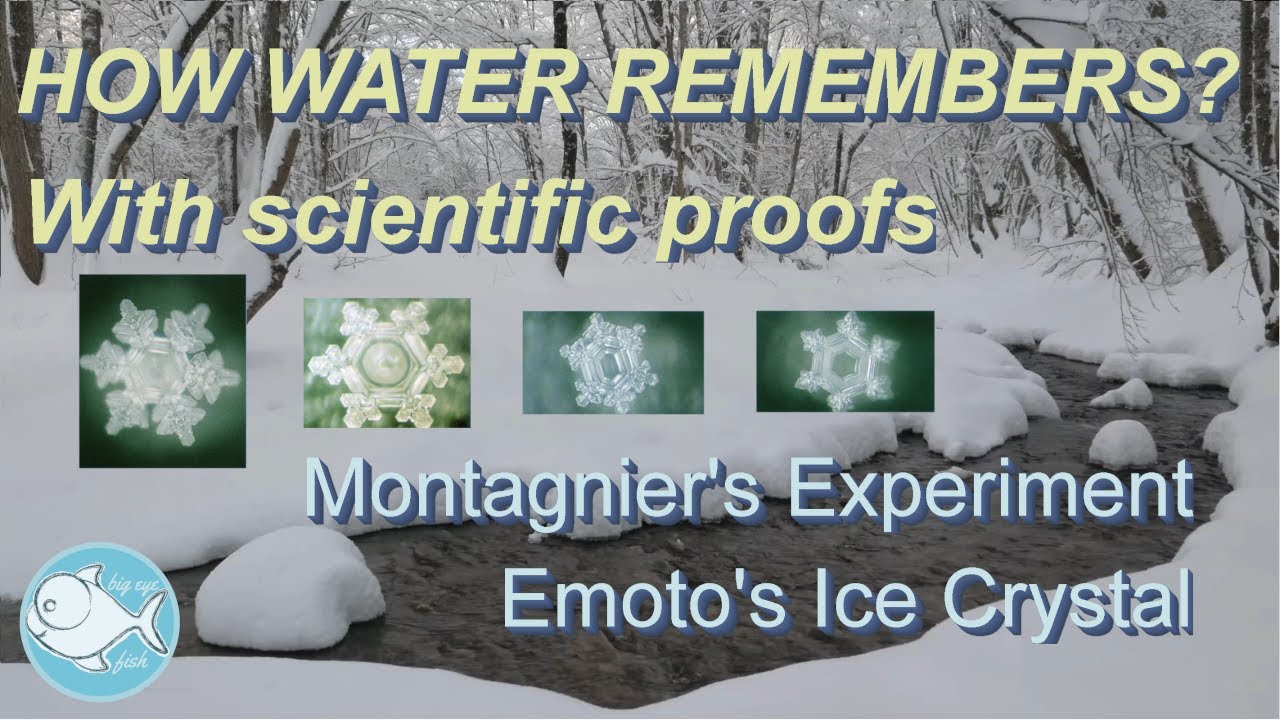 WATER HAS MEMORY - How Water Remembers?