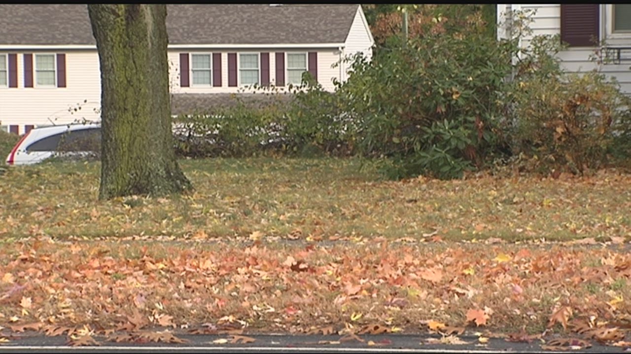Removing the wet leaves from your lawn