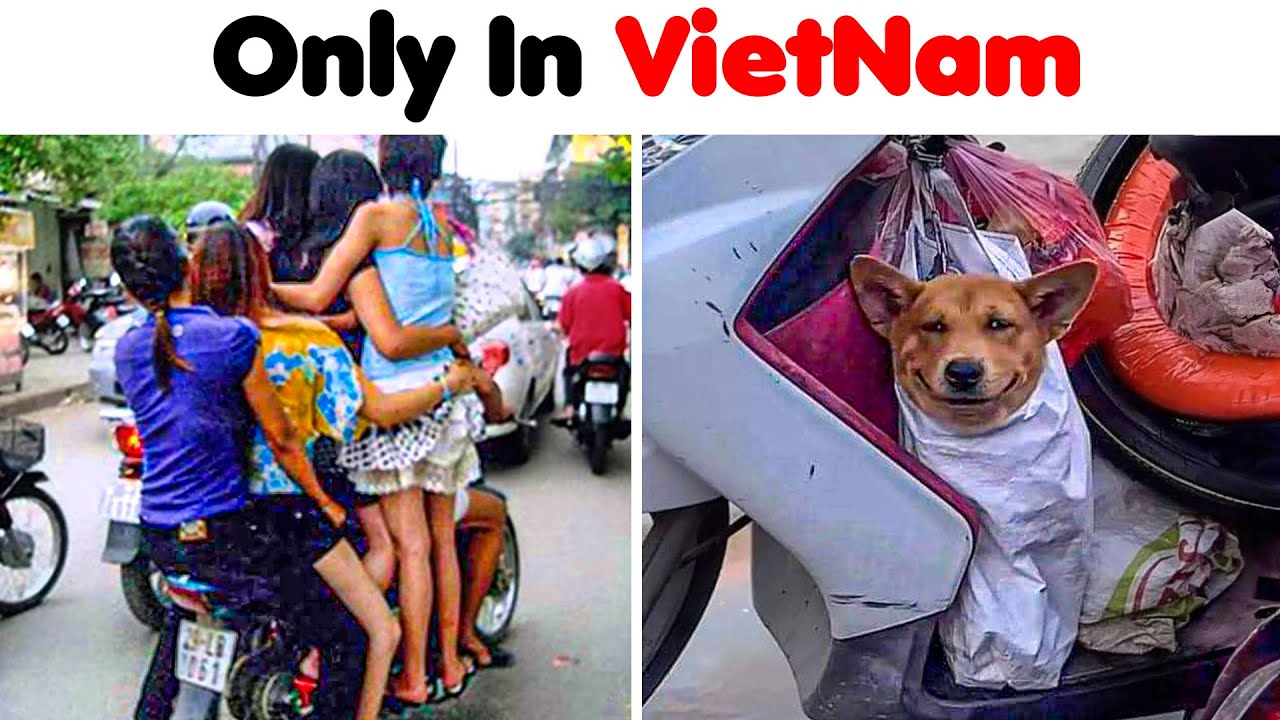 The Weirdest Things Seen In VIETNAM