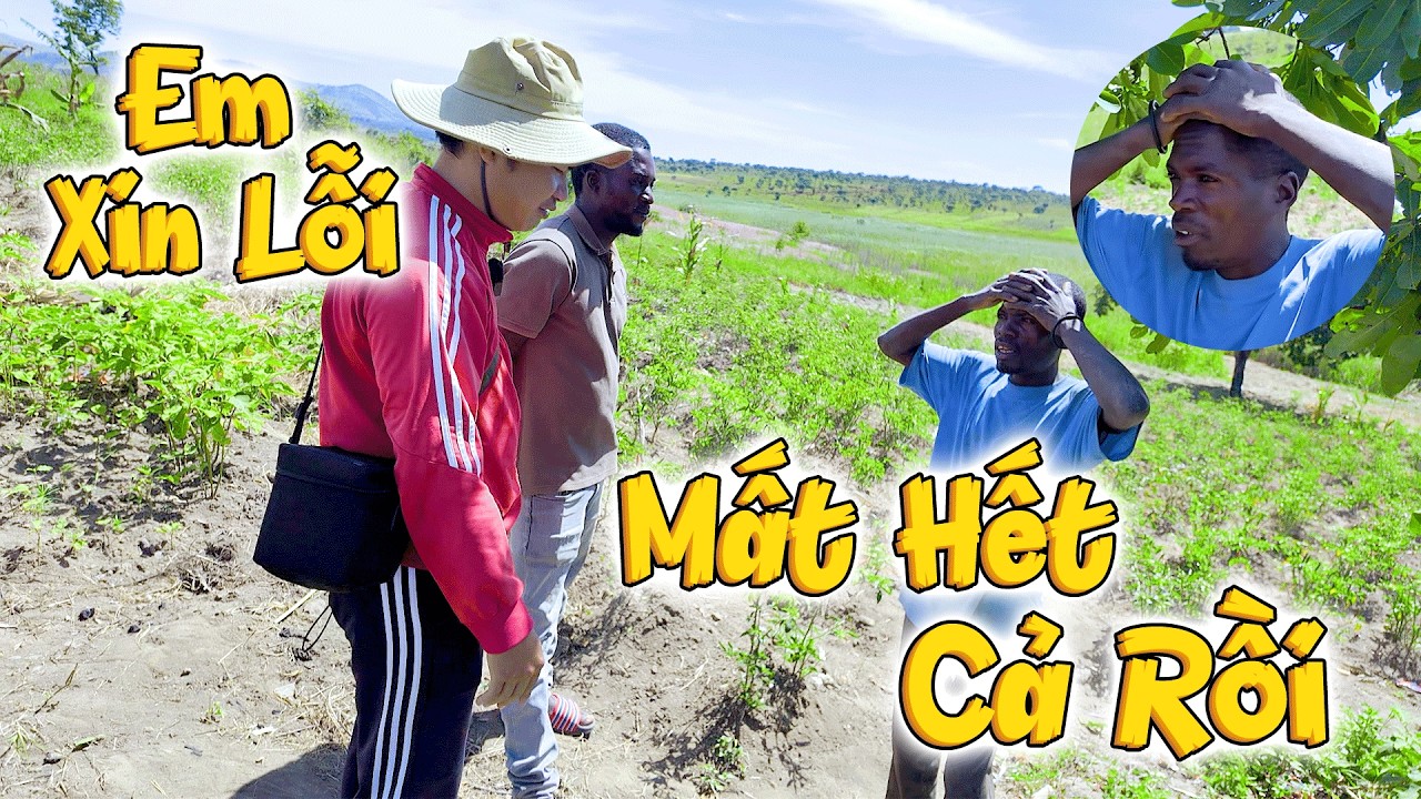 Vậy Là Mất Hết Cả Rồi, Troll Anh Sapino Là Bị Mất Bao Ớt Khi Đưa Ra Chợ Bán