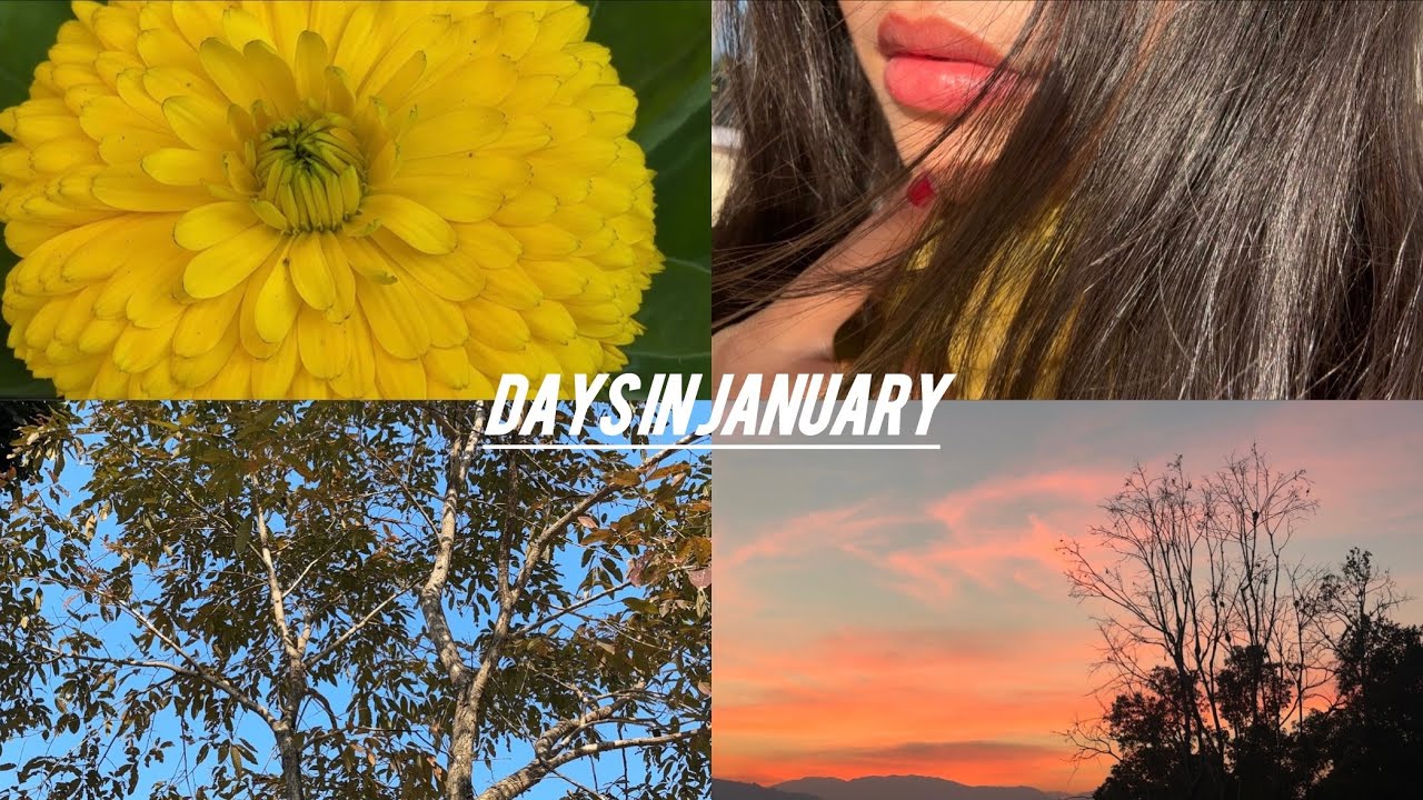 monthly vlog 01 | january days, mundane moments, a slice of life ｡𖦹⋆💚