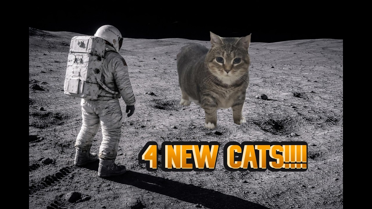 Roblox Reclone: Spacemogs 11-14 Locations (read desc)