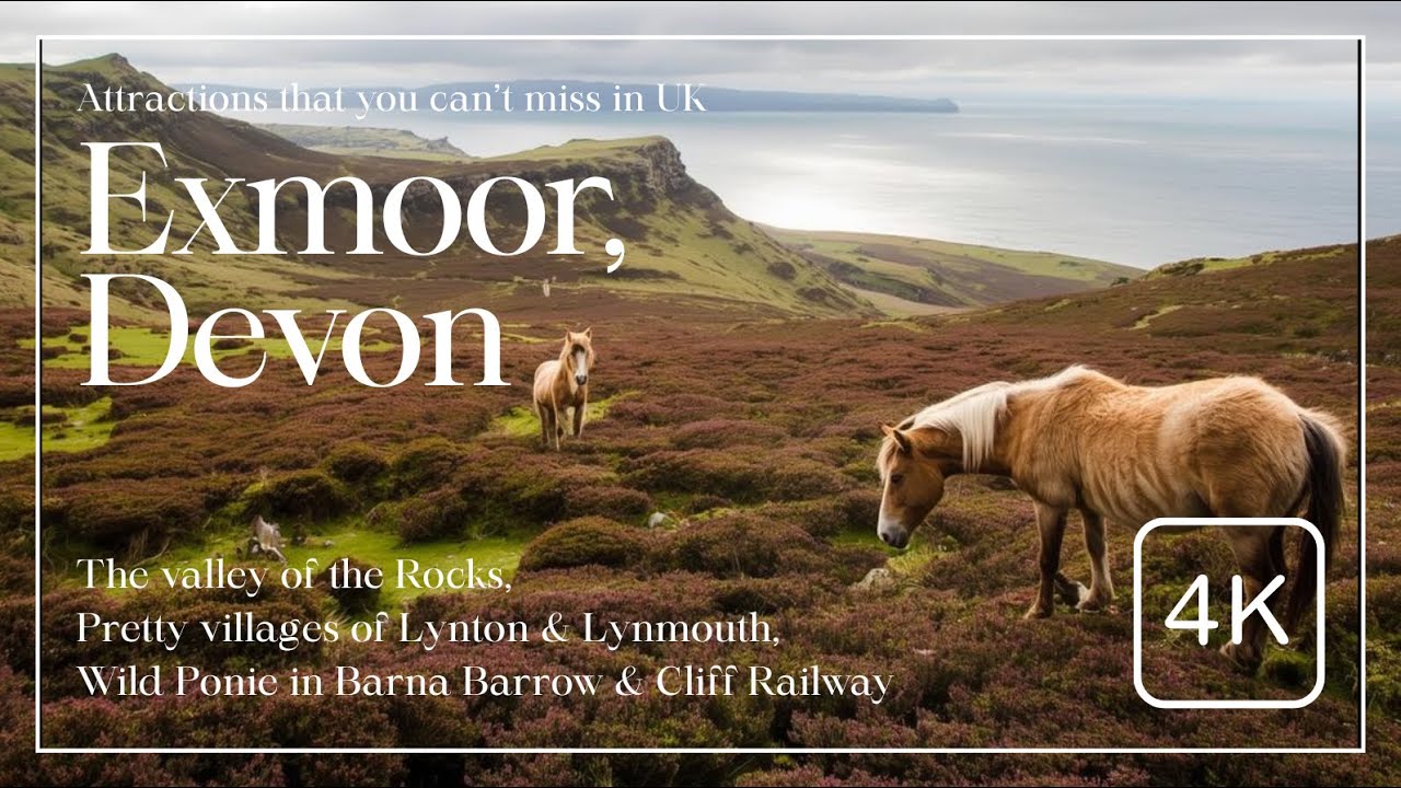 Devon & Summerset | Exmoor National Park | Valley of Rocks, Wild ponies, Lynton and Lynmout villages