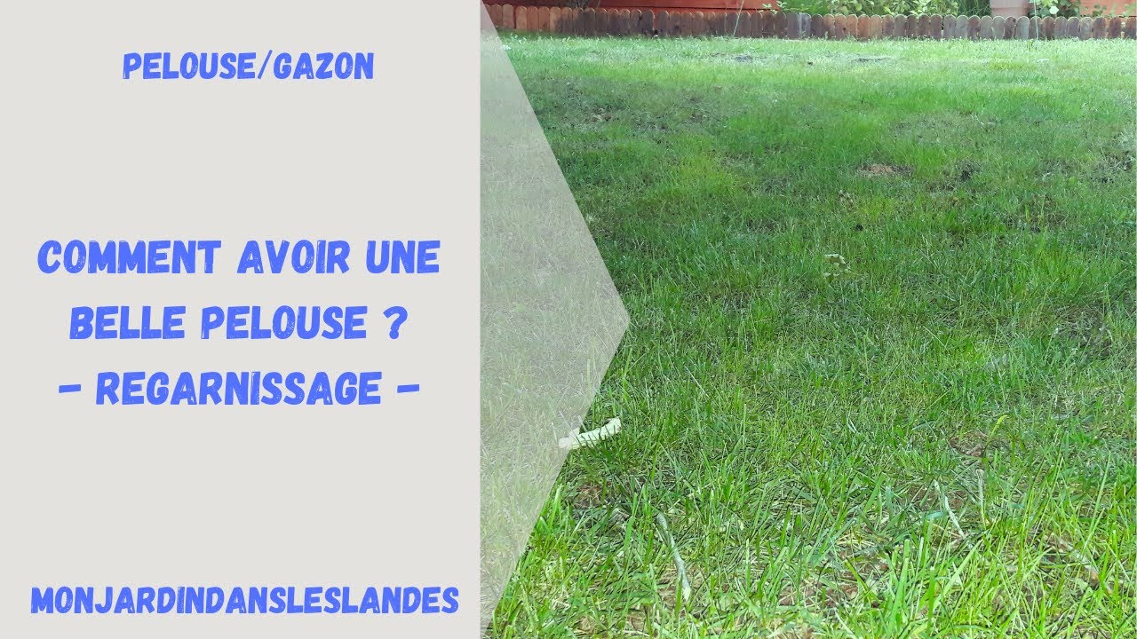 Comment avoir une belle pelouse ? (Regarnissage) - Monjardindansleslandes