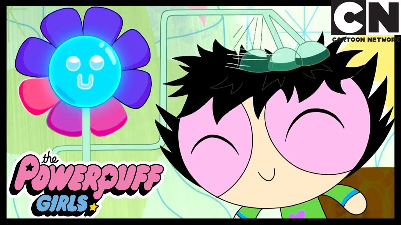Daisy | Les Super Nanas | Cartoon Network