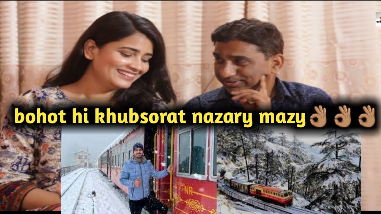 Pakistani Reacts to Shimla-Kalka Toy Train Journey in Heavy Snowfall | Pakistani Reaction on Indian