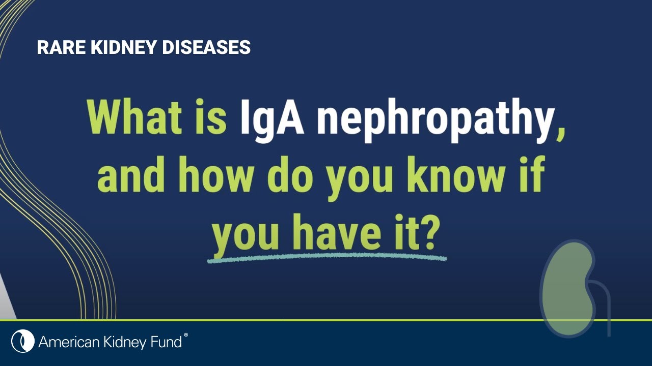 What is IgA nephropathy (IgAN)? | Rare Kidney Disease | American Kidney Fund