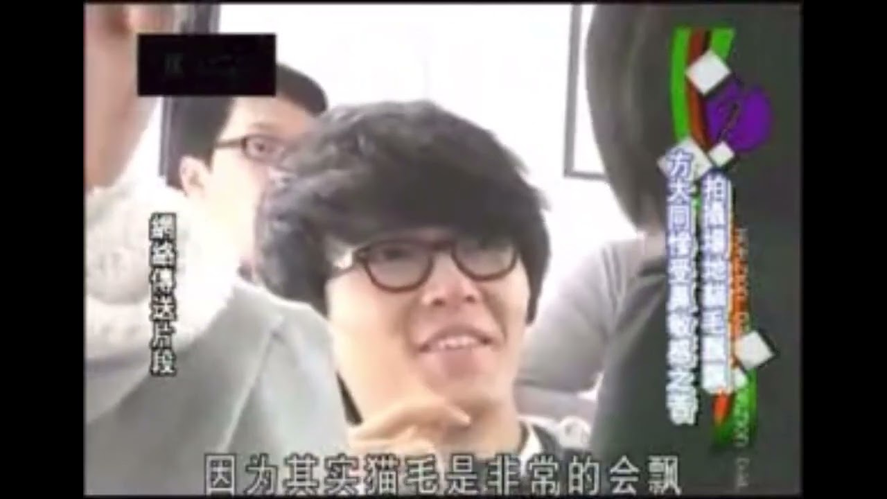 貓咪別走過來 大同鼻子好敏感⁭⸝⸝꩜ ᯅ ꩜⸝⸝