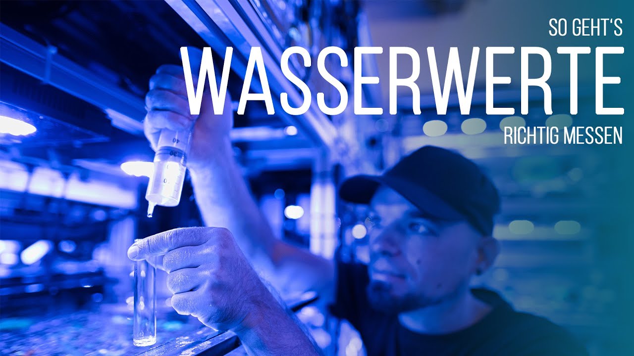 HOW-TO: Wasserwerte im Meerwasseraquarium richtig messen | Coralaxy
