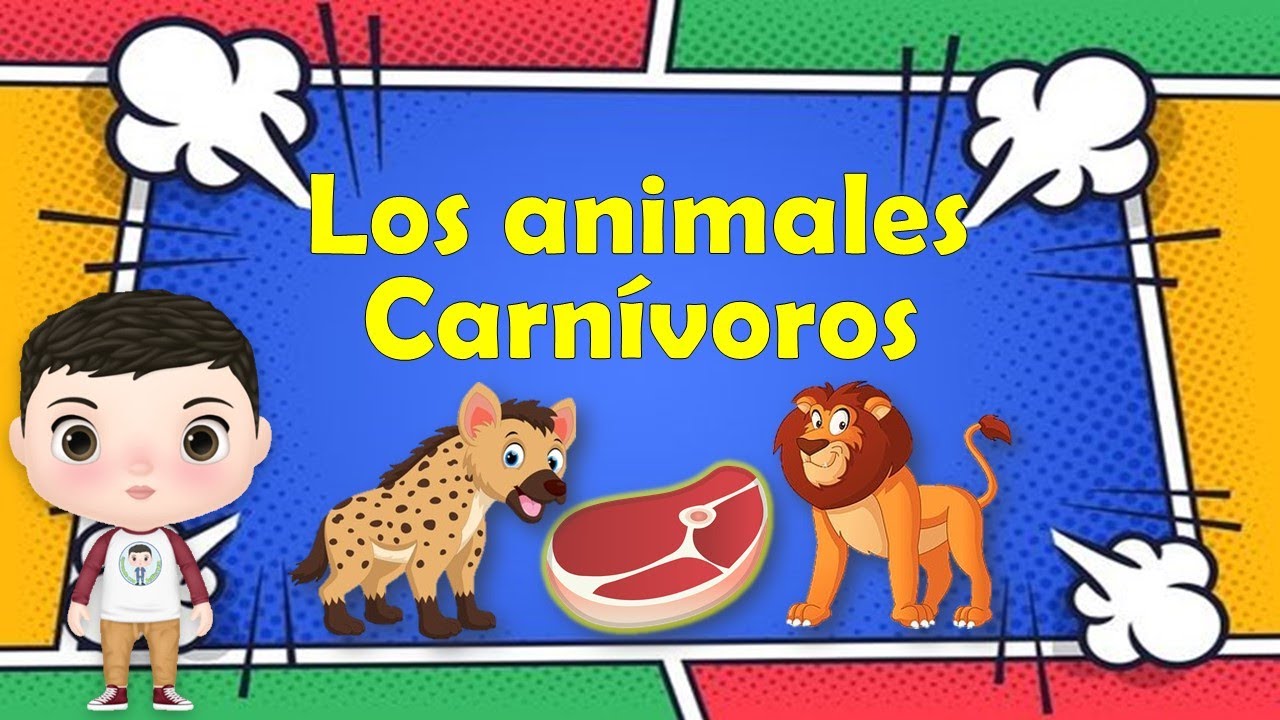 🦁🥩cuales son los animales carnivoros para niños🥩🐯