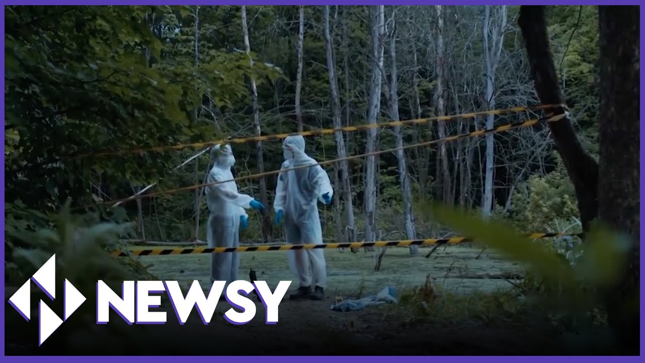 Psychotherapist Diane Barth Explains How Watching True Crime Impacts The Brain