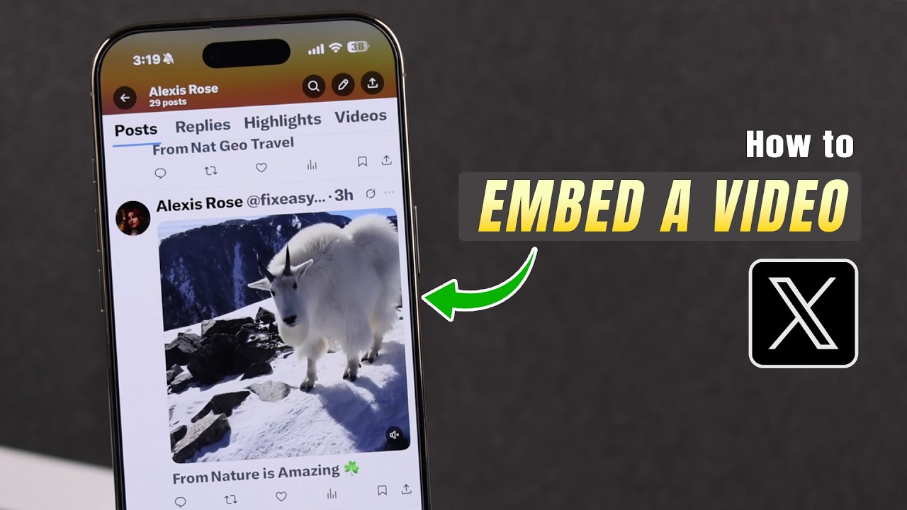 How to Embed a Video on X Twitter! [Without Retweeting]