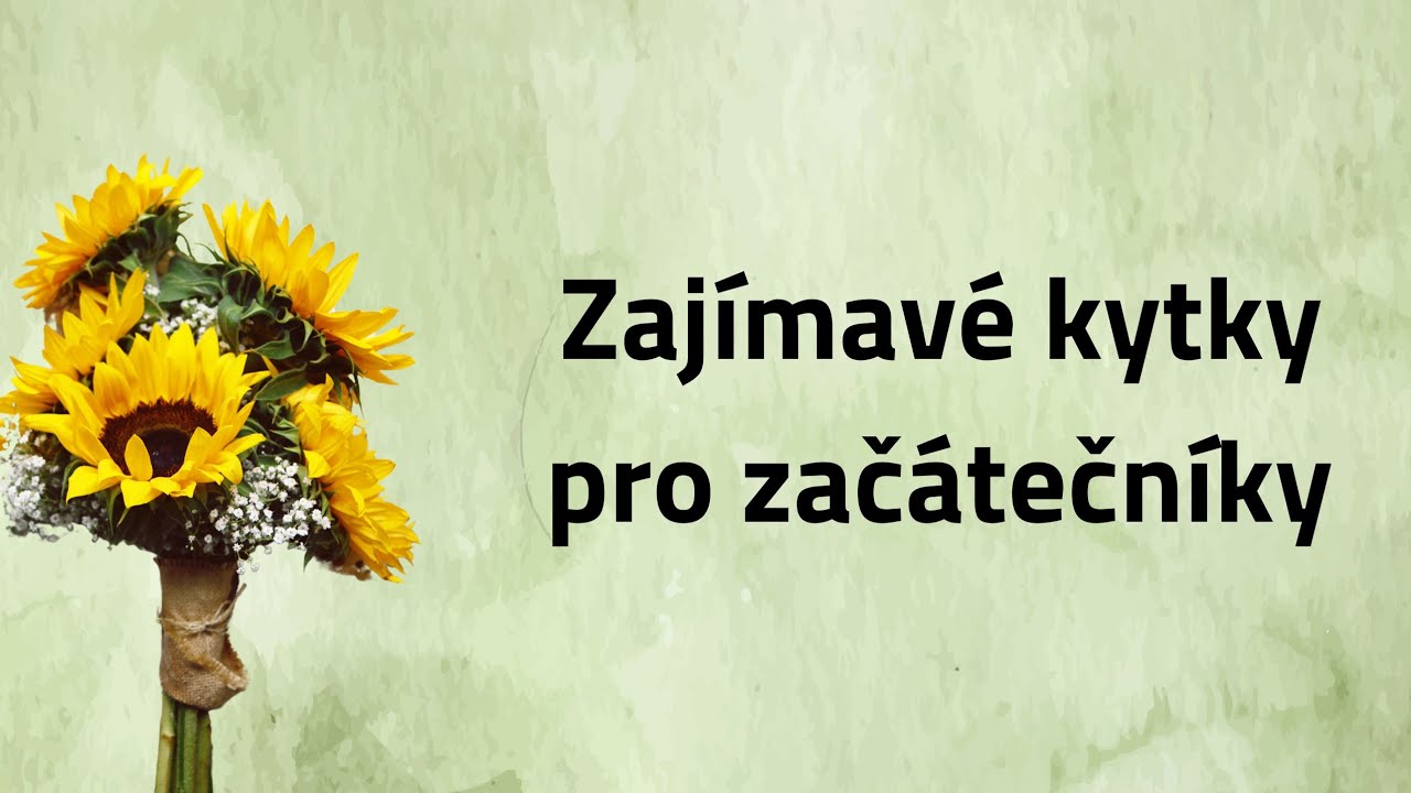22 Zajímavé kytky pro začátečníky 💥🍀