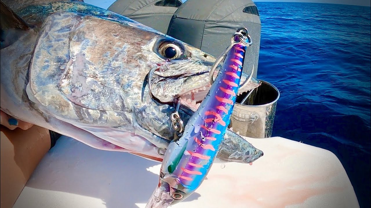 You NEED this lure! Big Pelagic's LOVE them