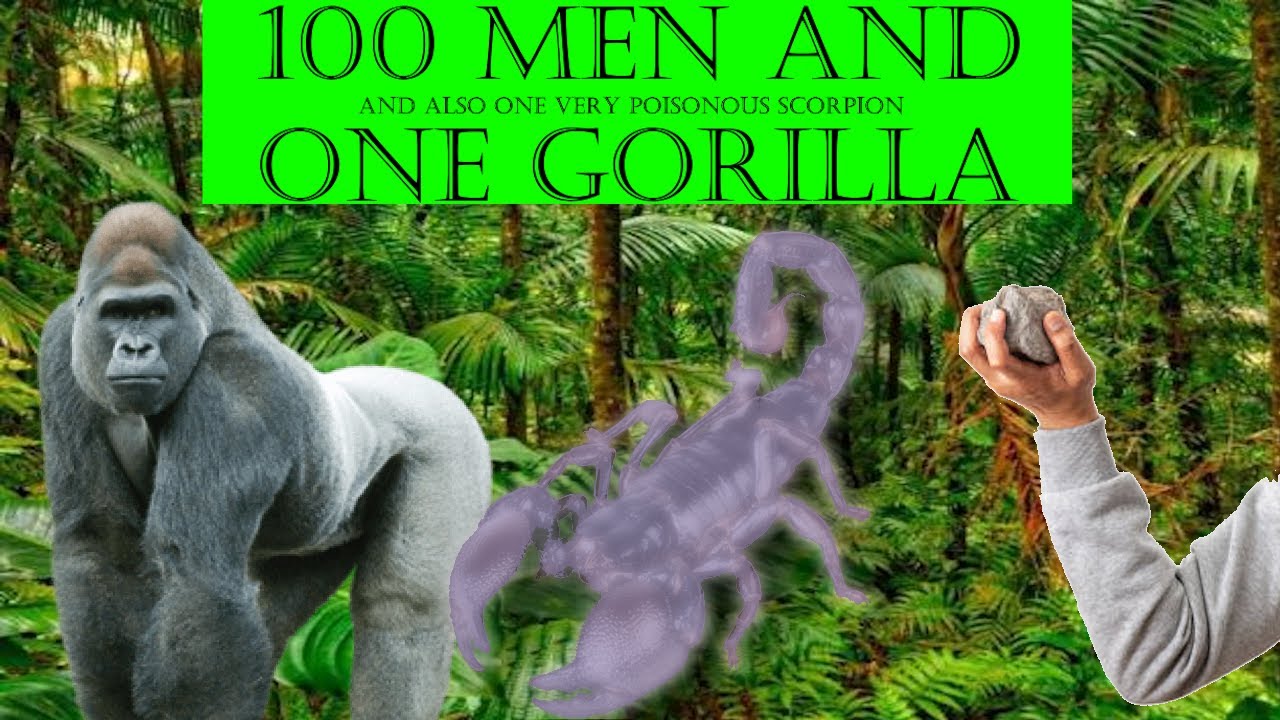 Discussing 100 men VS 1 Gorilla (Also a poisonous scorpion)