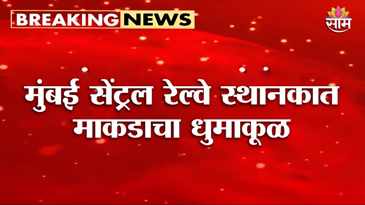 मुंबई सेंट्रल रेल्वे स्थानकात माकडाचा धुमाकूळ | Monkey Attack News