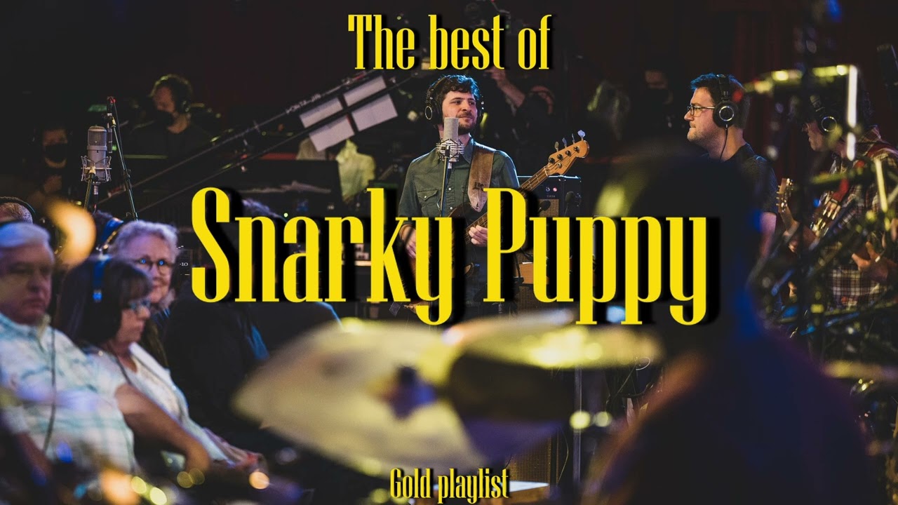 Snarky  Puppy - Gold playlist