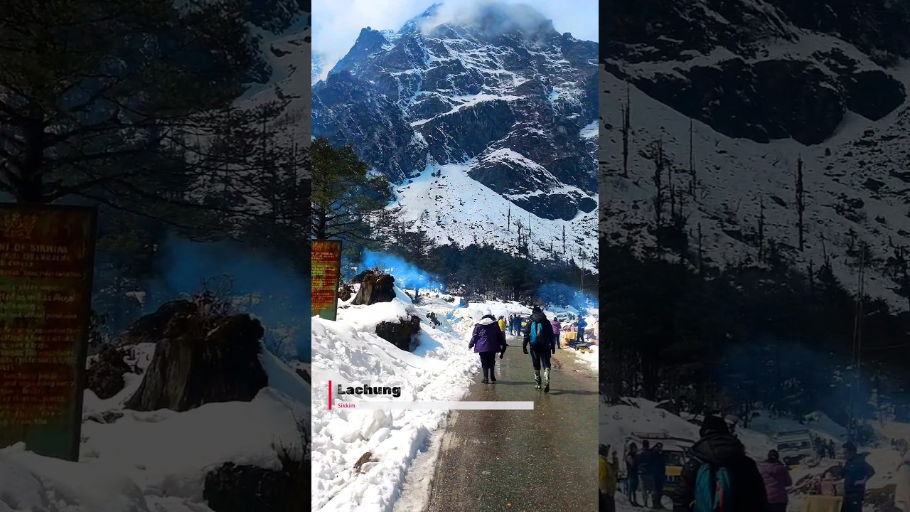 Lachung North Sikkim ।। Sikkim tour plan।। Sikkim tour package #lachung #lachen #northsikkim