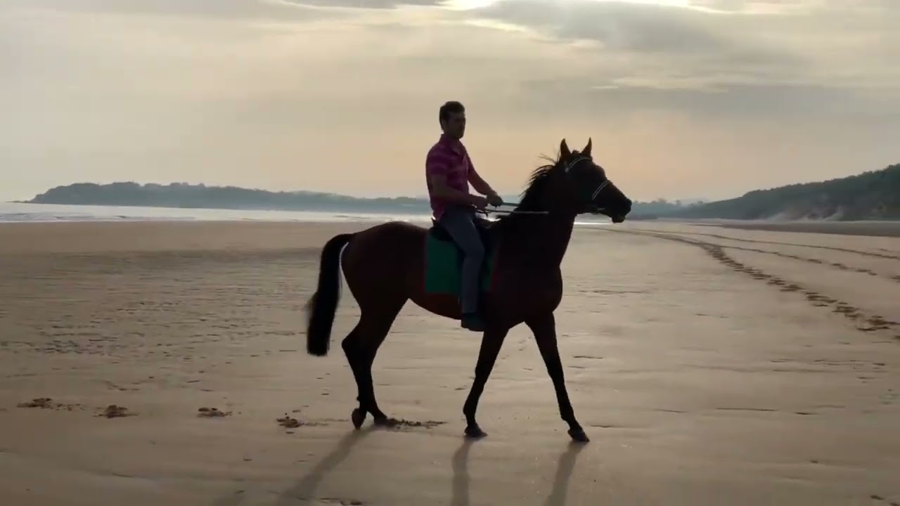 HOMBRE A CABALLO
