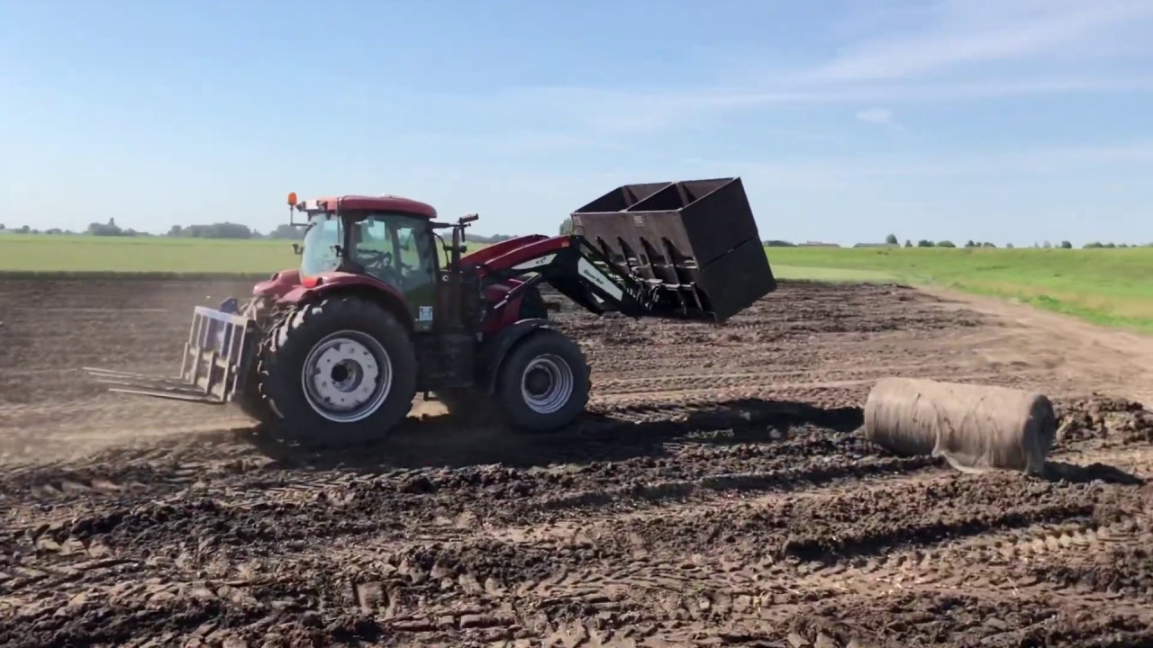 Rooien bij V.d. Slot Tulips