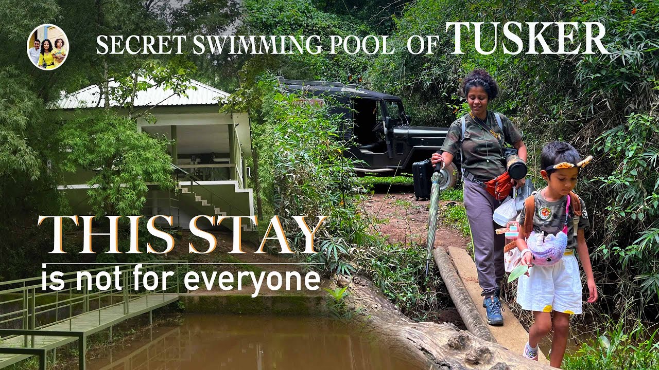 Thrilling forest stay  - not everyone can stay here | Tusker's swimming pool | Wild animals around