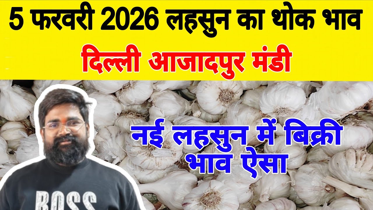 5 Feb 2026 | Today Garlic Market Price | Garlic Price The Shocking Prediction #mandirates #garlic