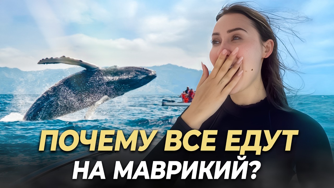 Африка для богатых &mdash; МАВРИКИЙ: плавание с китами, истребление додо, развод и неудачное ЭКО